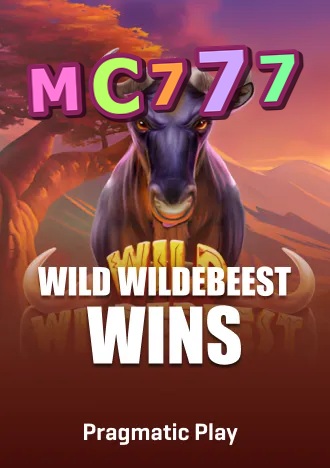 mc777 banner